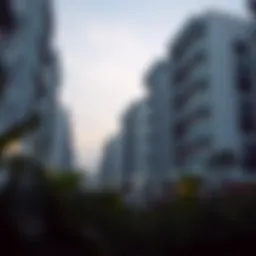 A Comprehensive Examination of 1 BHK Rental Properties in Al Nahda, Sharjah Introduction