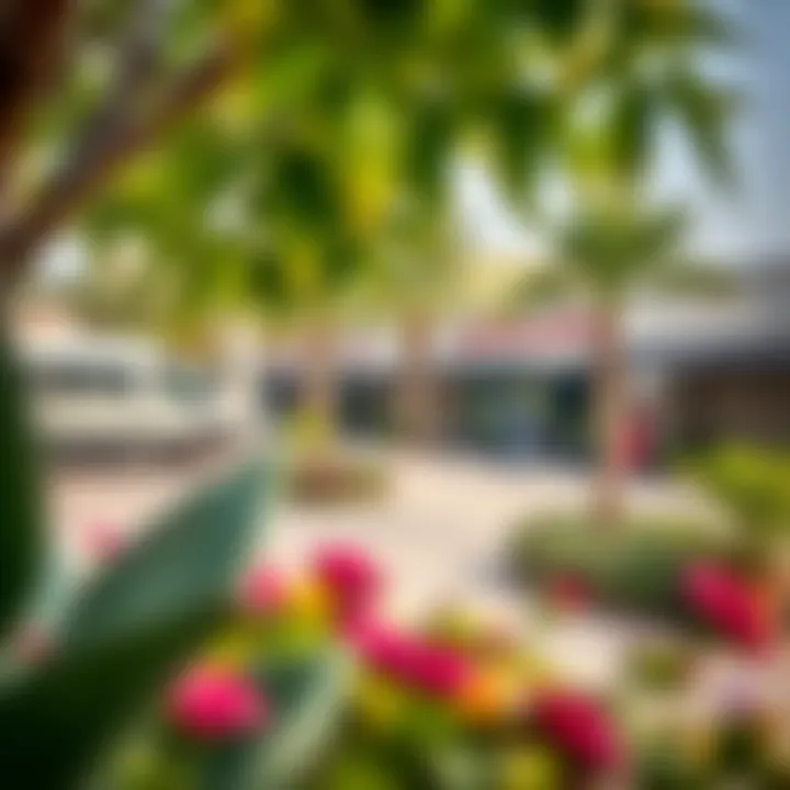 Vibrant community amenities in Al Tawar 3 including parks and shopping areas