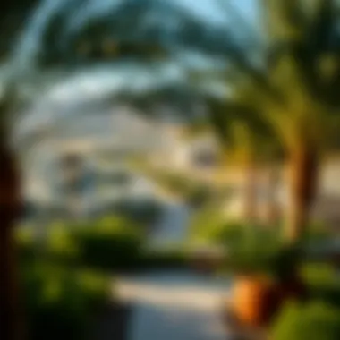 Oasis of Al Ain: A Lush Retreat A panoramic view of Al Ain's lush oasis region