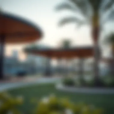 Recreational park in City Max Hamdan offering leisure spaces for residents