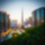 Stunning skyline view of Wasl1