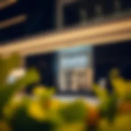 Detailed overview of banking options