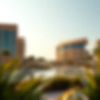 Investment Insights on Damac Lagoon Investment opportunities highlighted in Damac Lagoon