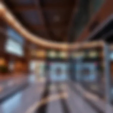 Comprehensive Overview of Dubai Property Services in Jebel Ali Overview of Dubai Property Services