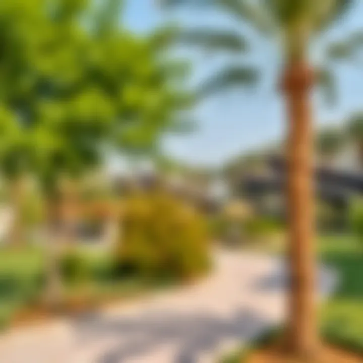 Community Park in Dubai South Residence A lush green park in Dubai South Residence, emphasizing community lifestyle