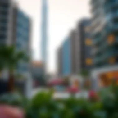 Overview of surrounding area of Dubai Festival Tower