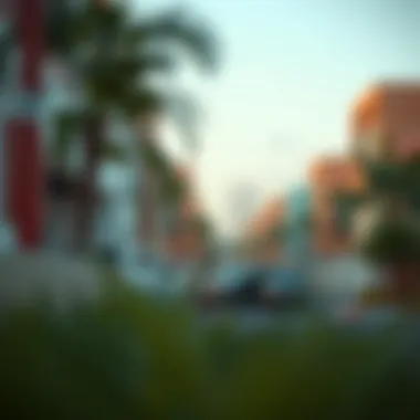 Vibrant community life in a developing Dubai neighborhood