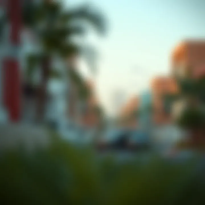 Vibrant community life in a developing Dubai neighborhood