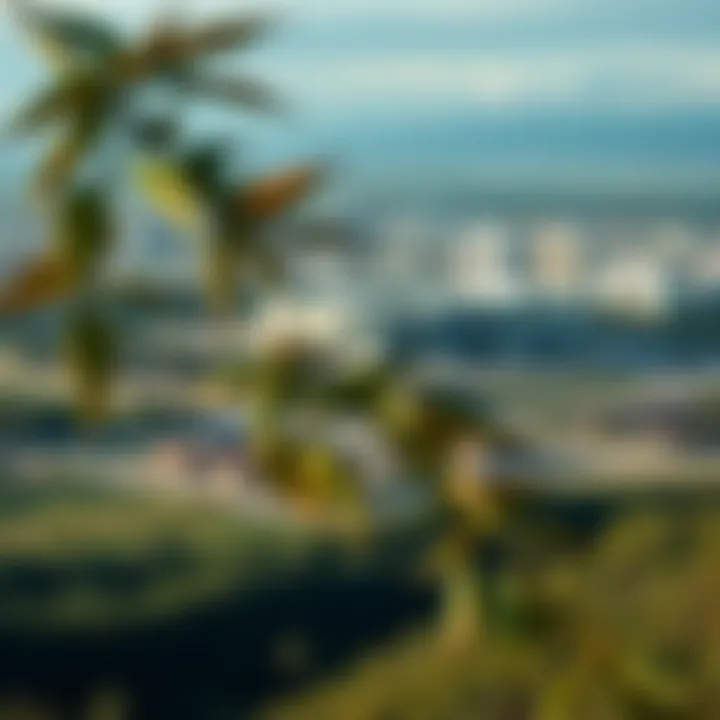 Surrounding Landscape of Empire Heights Landscape surrounding the Empire Heights Business Centre with greenery and urban development