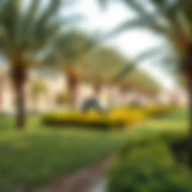 Community Park in Nad Al Hamar Nad Al Hamar community park with greenery