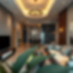 Contemporary 1 BHK apartment interior