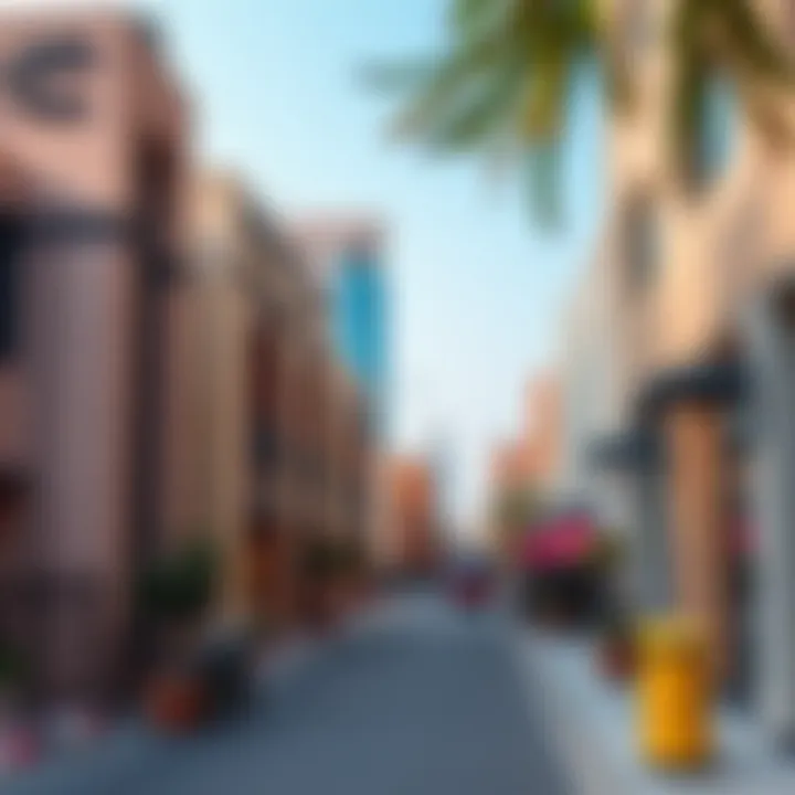 Amenities in Satwa, Dubai Local amenities in Satwa neighborhood