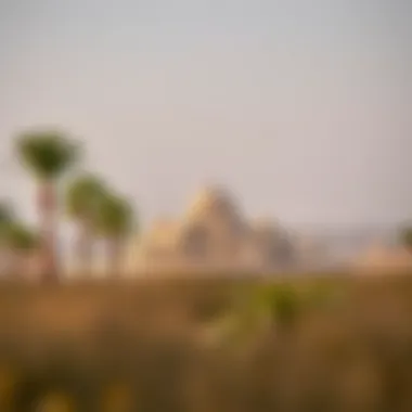 Notable Exploring Al Jazeera Park: A Comprehensive Guide within Dubai's Urban Landscape