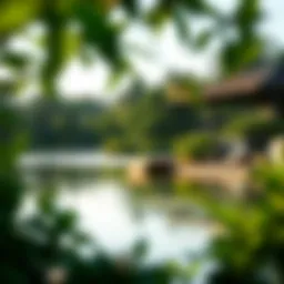 Lush mangrove landscape at Anantara Eastern Mangroves