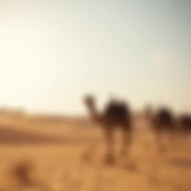 Serene Desert Landscape with Camels Desert landscape with camels