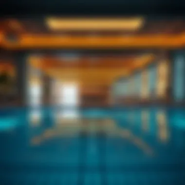 Exceptional Amenities of Dib Onyx Tower Amenities at Dib Onyx Tower including pool and gym facilities