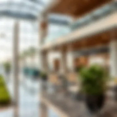 Luxurious amenities and facilities in a Dubai Meadows community center