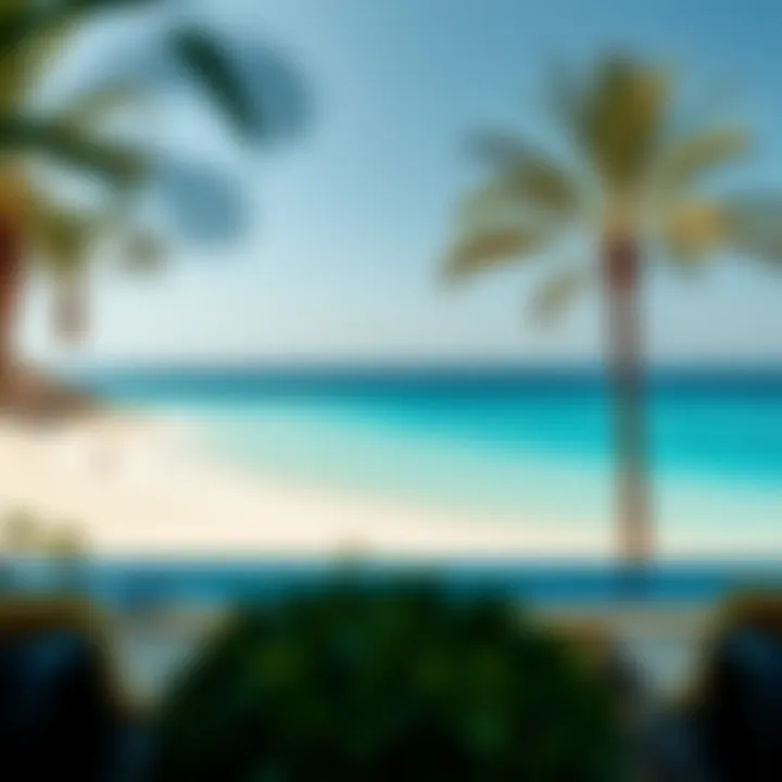 An exquisite view of a Dubai beach with clear blue waters