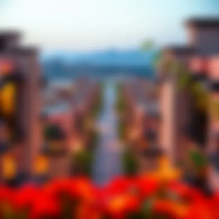 Overview of the vibrant DAMAC Hills 2 community