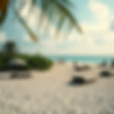 Relaxing beach at a popular travel spot