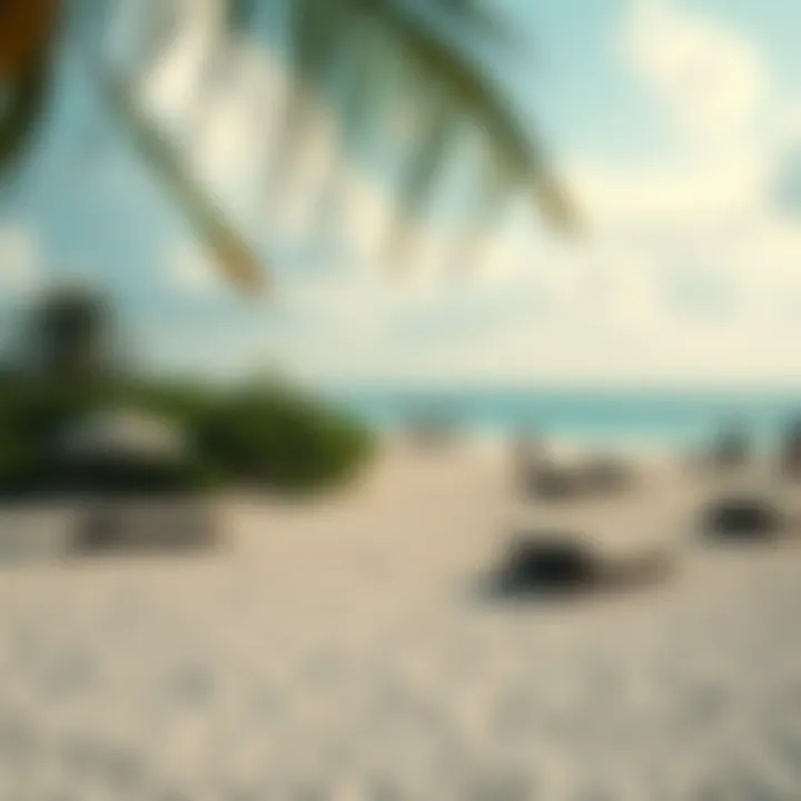 Relaxing beach at a popular travel spot