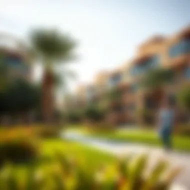 Vibrant community life in Jumeirah 1 parks