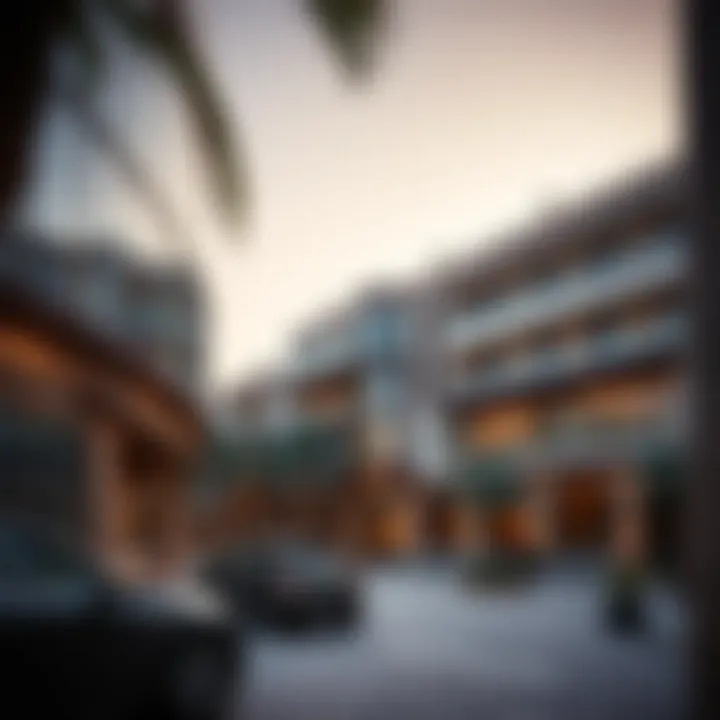 Cultural influences on property choices