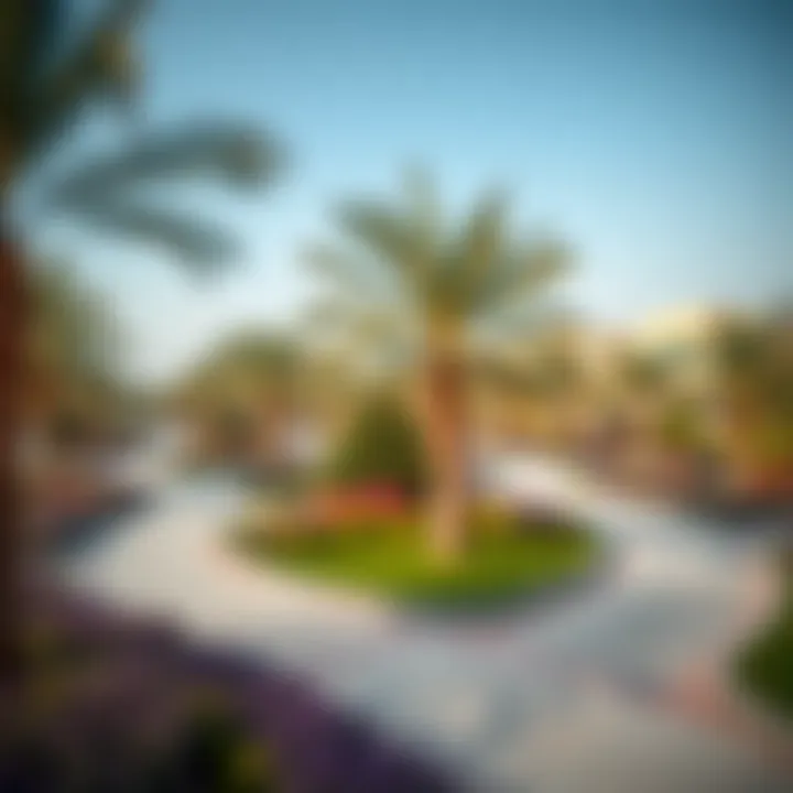 Community Park in النوف 3 Vibrant community park in النوف 3 filled with greenery and recreational spaces