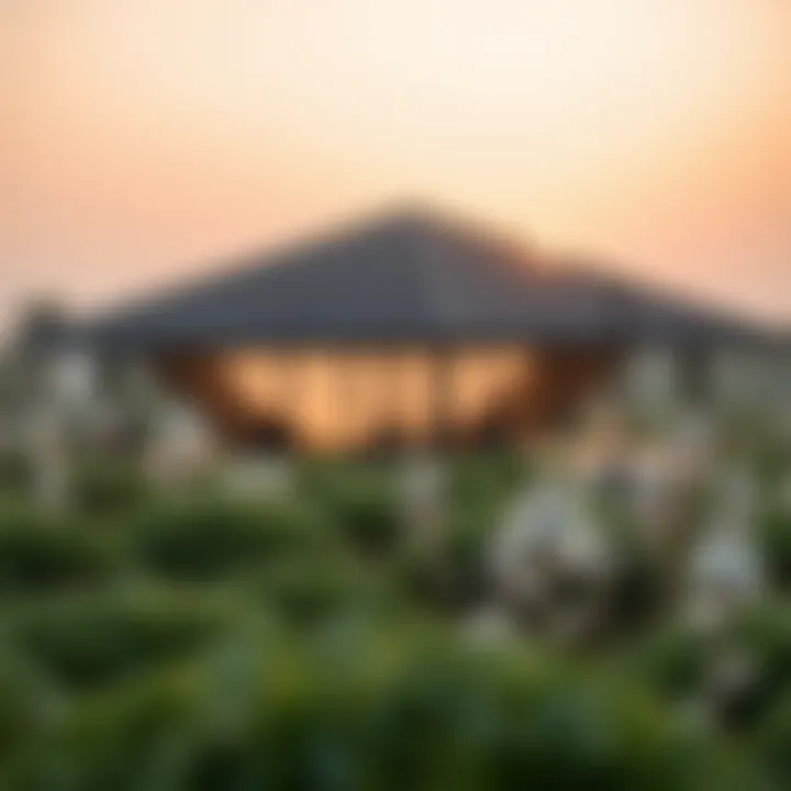 Nature Reserve Highlighting Local Biodiversity Nature reserve highlighting local biodiversity