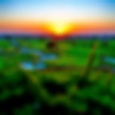 Stunning Sunset Over Golf Course Stunning sunset over a golf course in Dubai