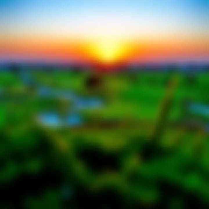 Stunning Sunset Over Golf Course Stunning sunset over a golf course in Dubai