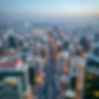 Aerial view of International City