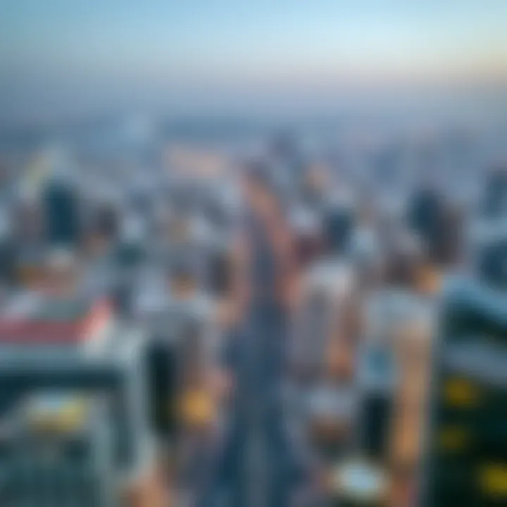 Aerial view of International City