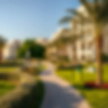 Serene Community Park Amidst Dubai's Urban Living Community park in a Dubai residential area
