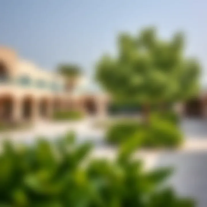 Community Spaces and Greenery in Sharjah Al Jada Vibrant community spaces in Sharjah Al Jada with lush greenery