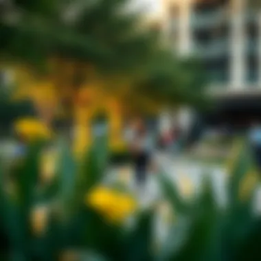 Vibrant lifestyle scene in Sobha Hartland with parks and social spaces