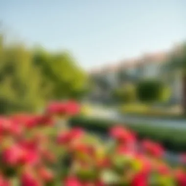 Vibrant community park in South Dubai filled with greenery