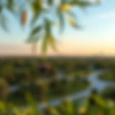 Green landscapes and recreational areas in حدائق الجرف كيان enhancing lifestyle
