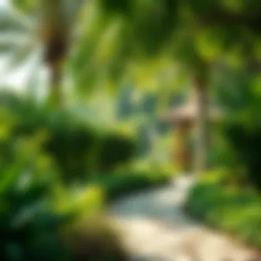 Lush greenery and tranquil pathways in a Dubai park