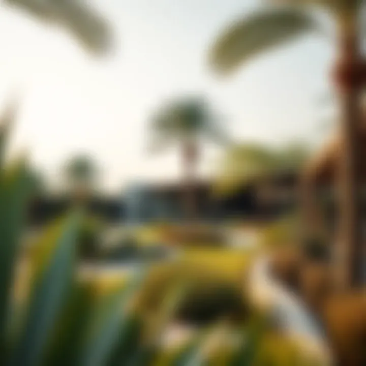 Sustainable gardening practices in Dubai