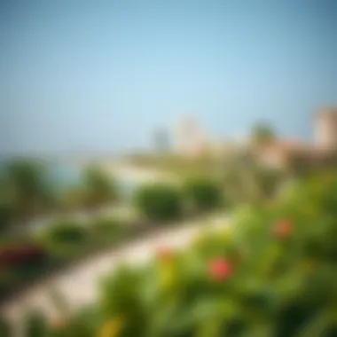 Green Spaces at Sharjah Corniche Lush green spaces integrated into the urban design