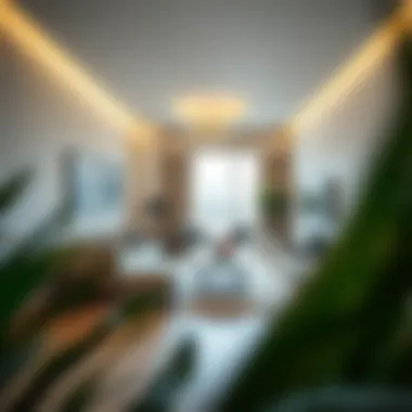 Maximizing Space in Studio Flat Design A stylishly furnished studio flat emphasizing space optimization