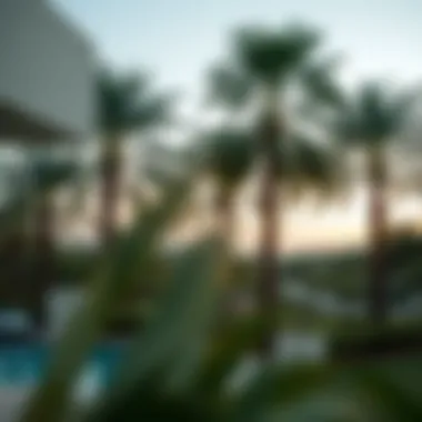 Beautiful landscaped surroundings of ذا فيو النخلة with palm trees