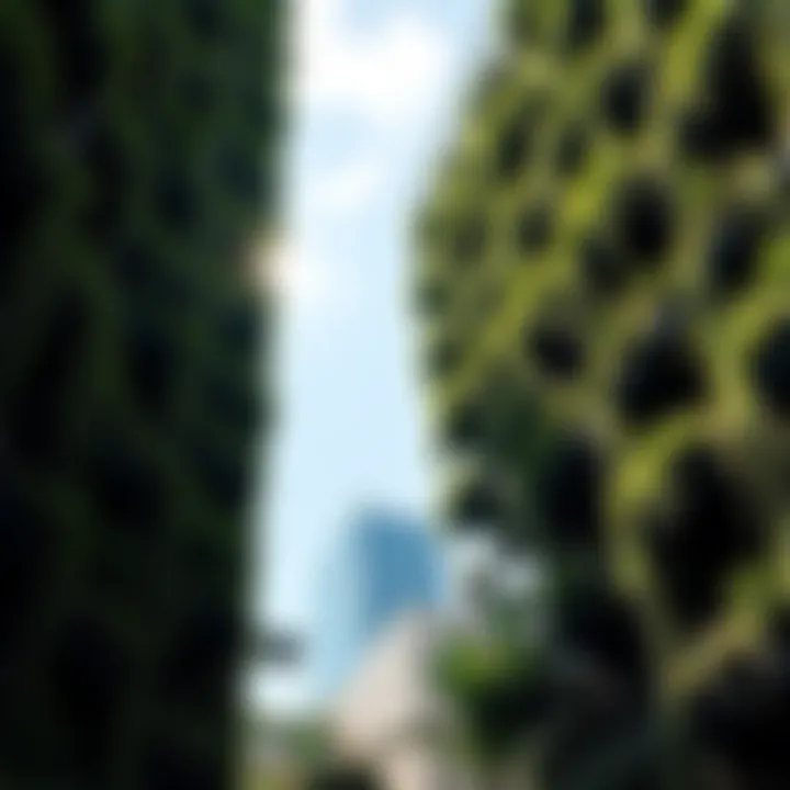 Close-up of vertical gardens integrated into architectural designs