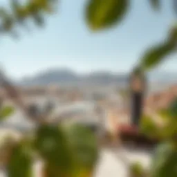 A panoramic view of Wadi Al Shouk showcasing its unique architecture and vibrant community spaces.