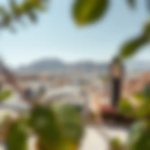 A panoramic view of Wadi Al Shouk showcasing its unique architecture and vibrant community spaces.