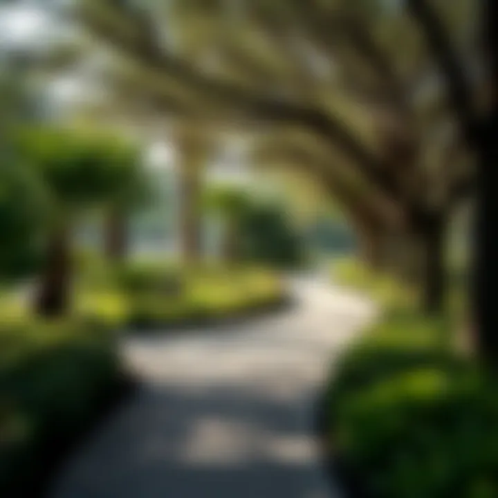 Lush green parks and recreational spaces in Zabeel