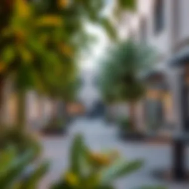 Vibrant community space in Janayen Avenue with lush greenery