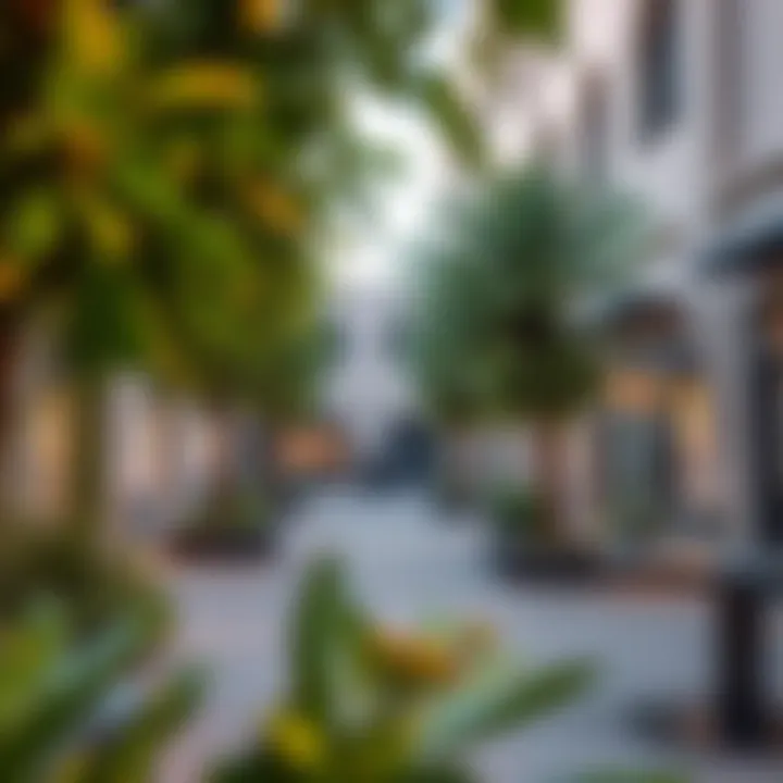 Vibrant community space in Janayen Avenue with lush greenery