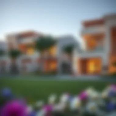 Beautifully designed residential villas in Jumeirah Park's District 8 highlighting luxury living.